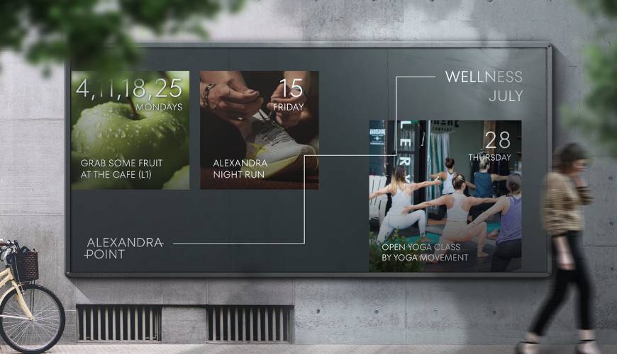 沙依巴克区画册设计公司如何进行品牌审核