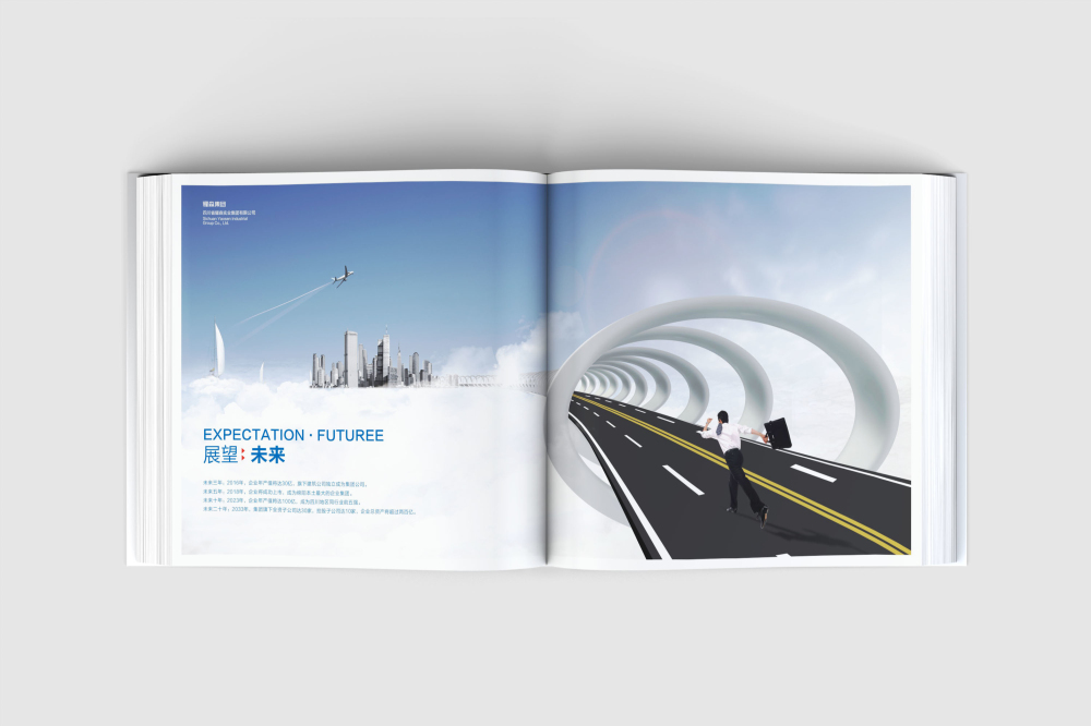 沙依巴克区画册设计